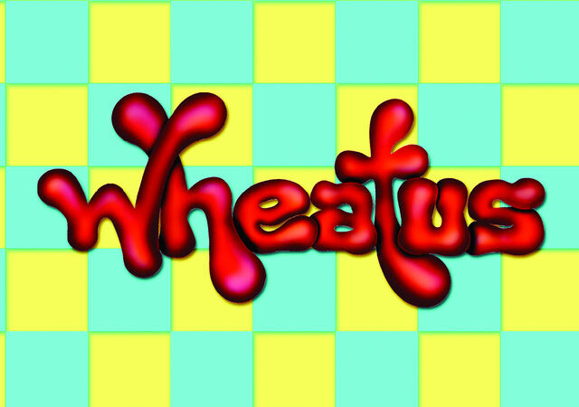 Wheatus‘ „Teenage Dirtbag“: Ein erfolgreiches Beispiel für positive Verarbeitung schwerer Themen in der Musik