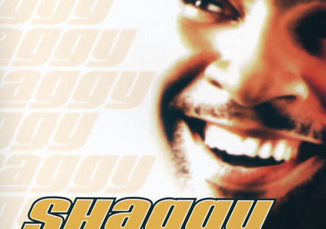 Shaggys „It Wasn’t Me“ – Ein zeitloser Ohrwurm