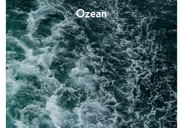 AnnenMayKantereit veröffentlichen offiziell den Track „Ozean“