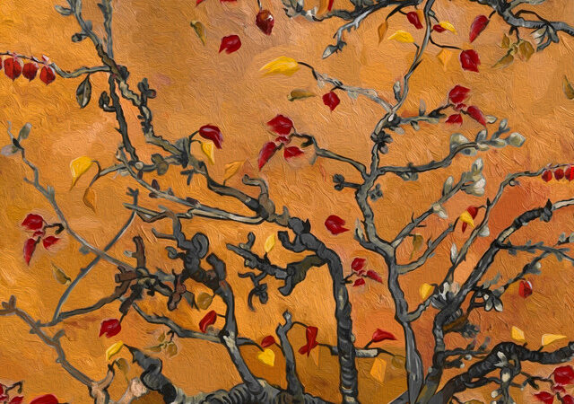 JVKE’s Song „This is what autumn feels like“: Eine poetische Ode an Liebe und Verlust im Herbst
