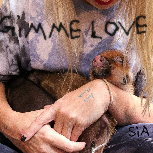 Sia kehrt mit neuer Single „Gimme Love“ zurück